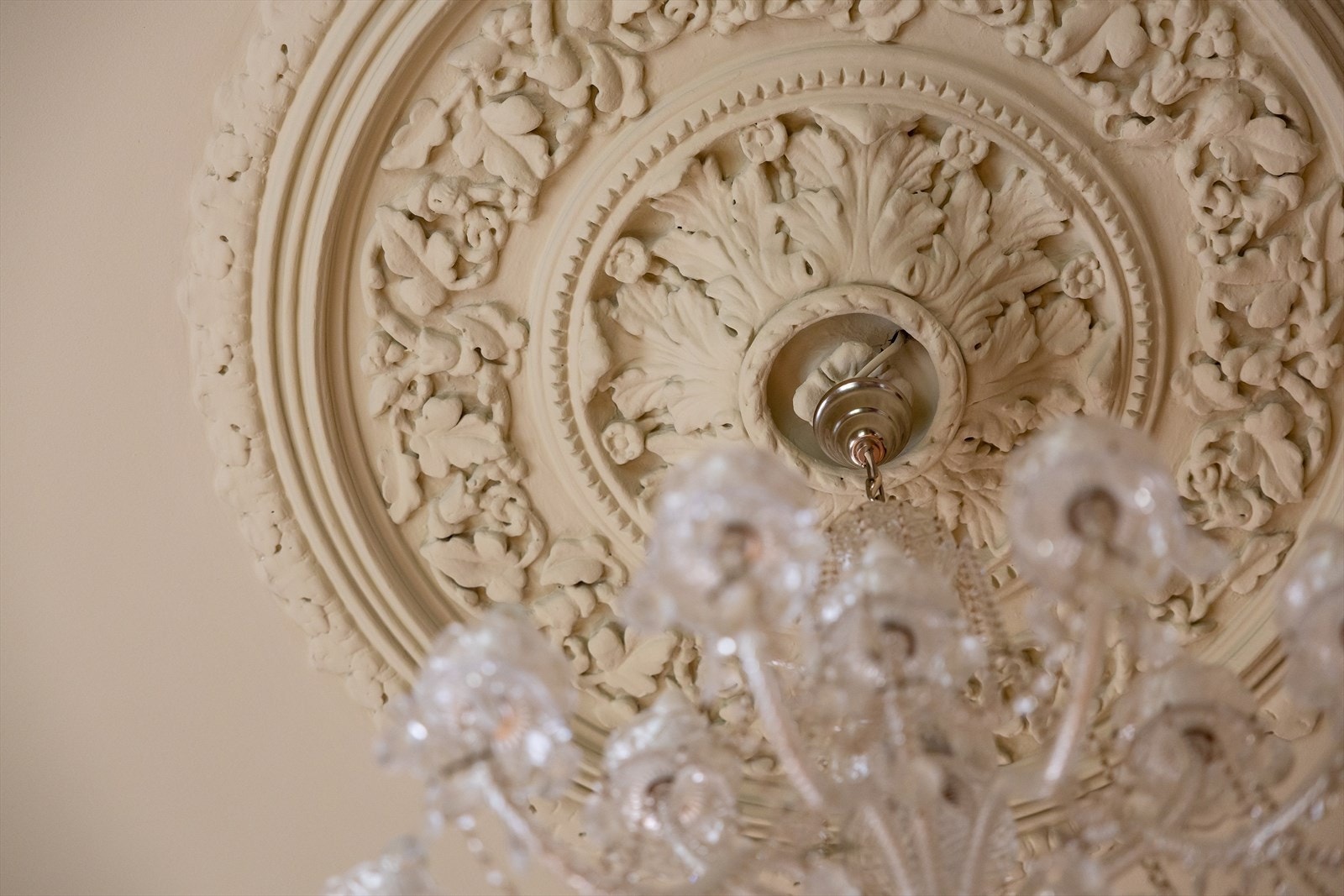 Fantastisk rosett i takhimling. Galleribilde