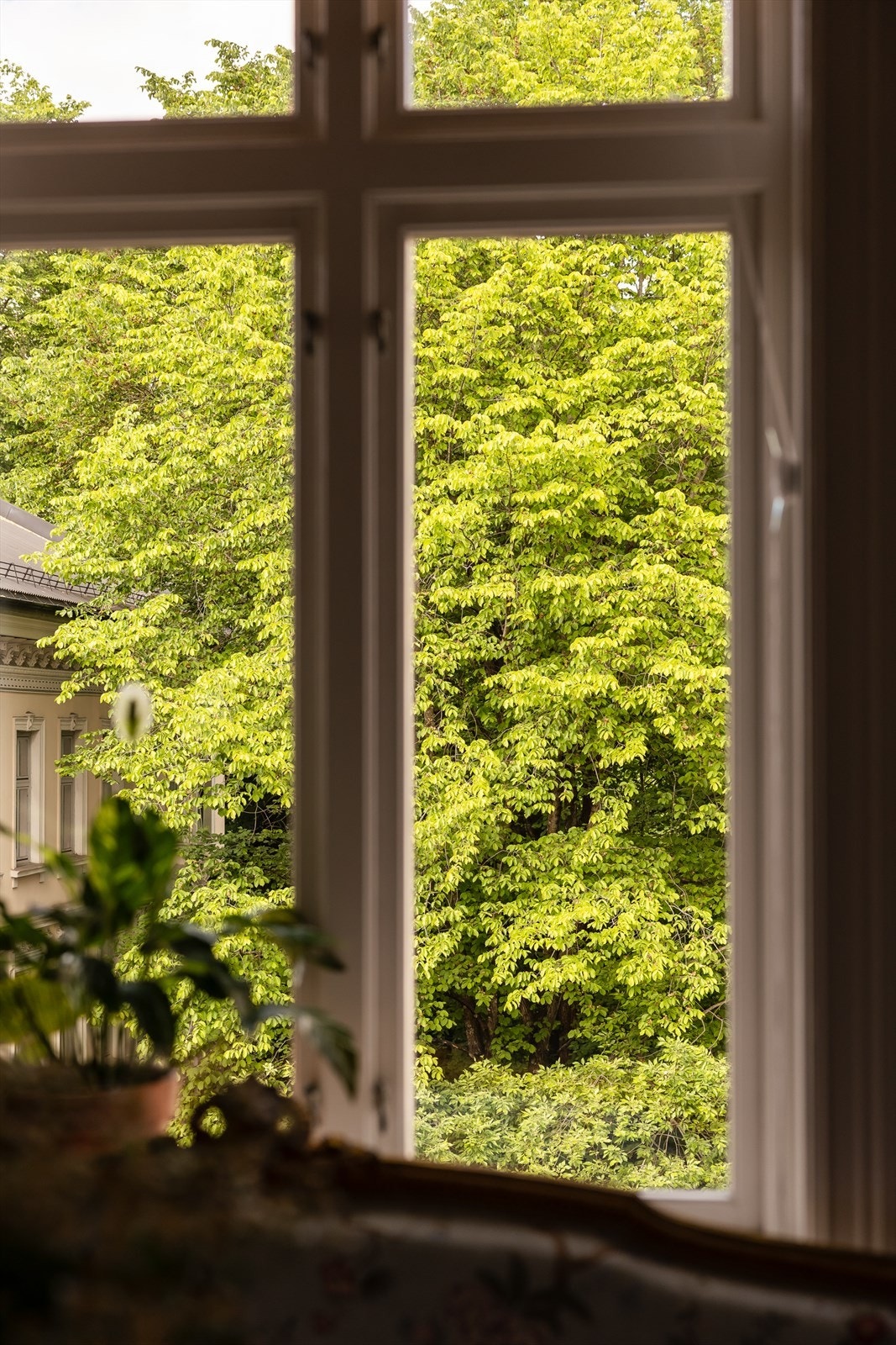 Fra spiseplassen på kjøkkenet er det hyggelig utsyn mot grønne, trivelige omgivelser. Galleribilde