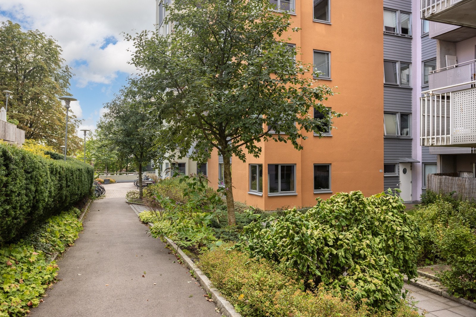 Sameiet har grønne og flotte fellesarealer. Galleribilde