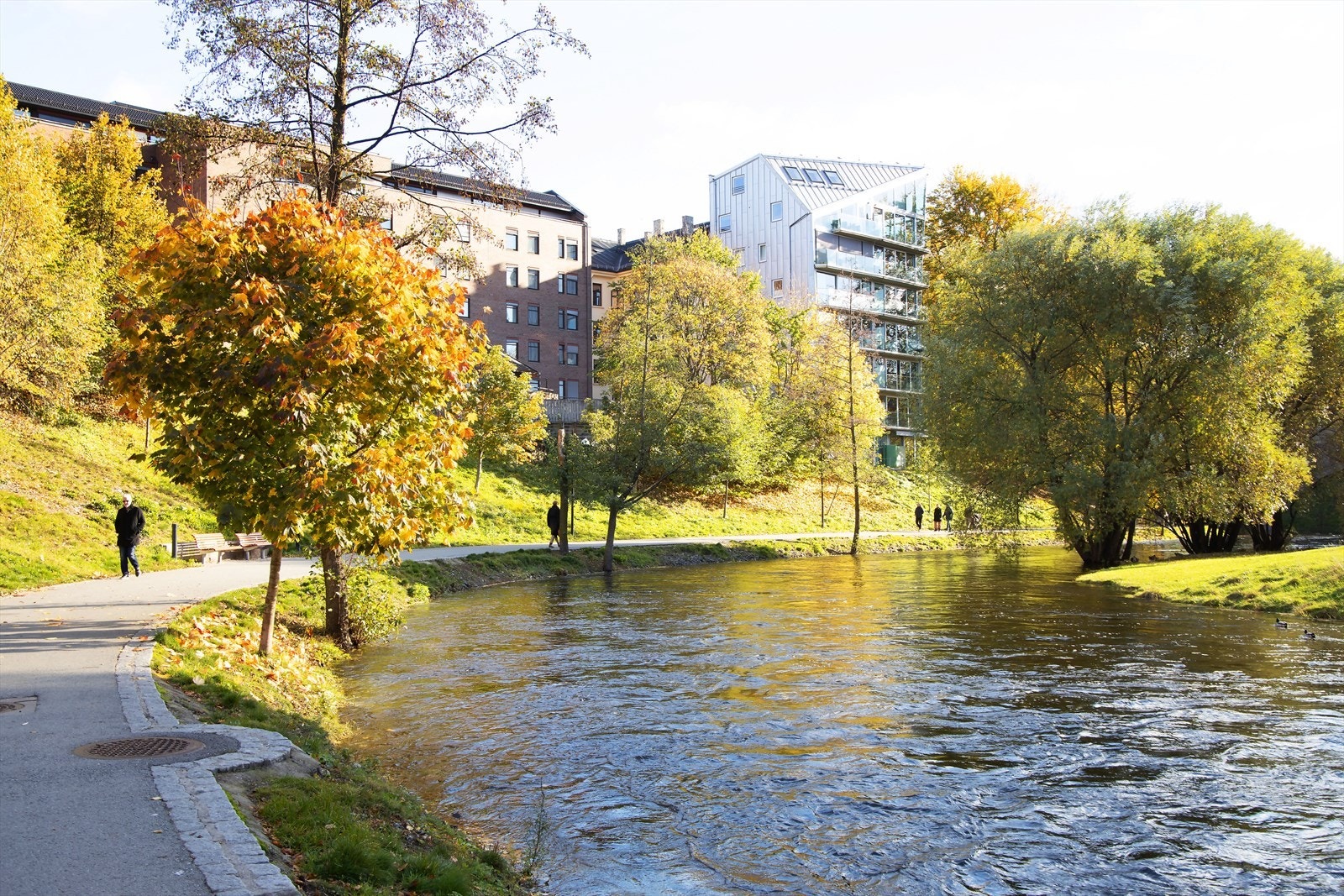 Områdebilde. Galleribilde