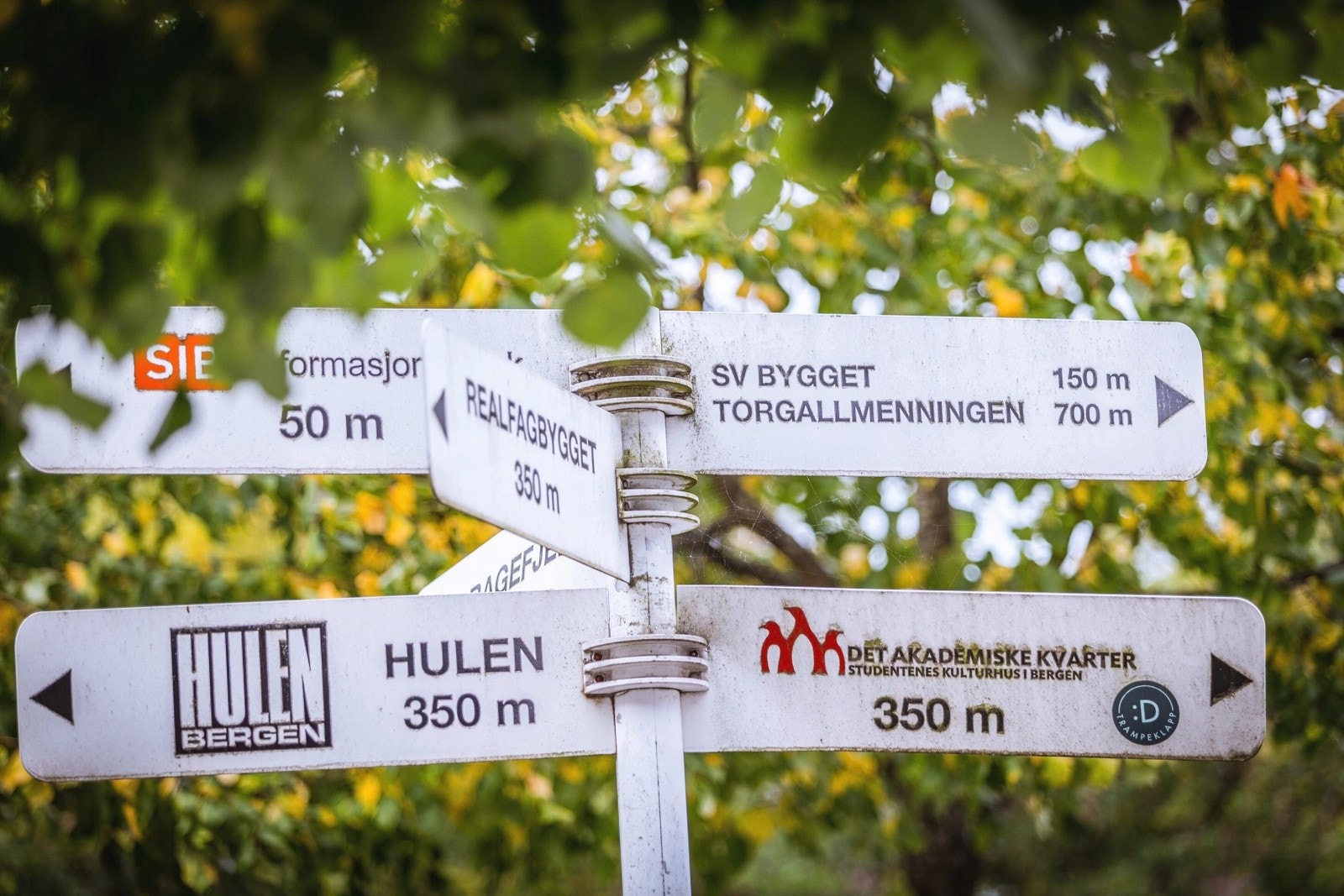 Kort vei til det meste Galleribilde