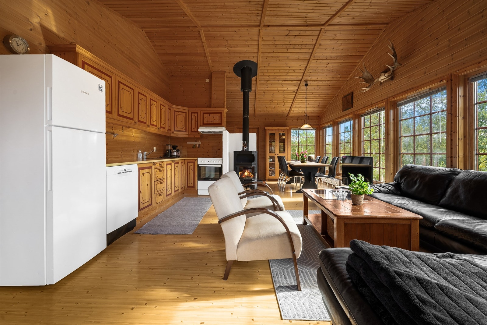 - Velkommen til Dyregrenda Nord 37 - Galleribilde