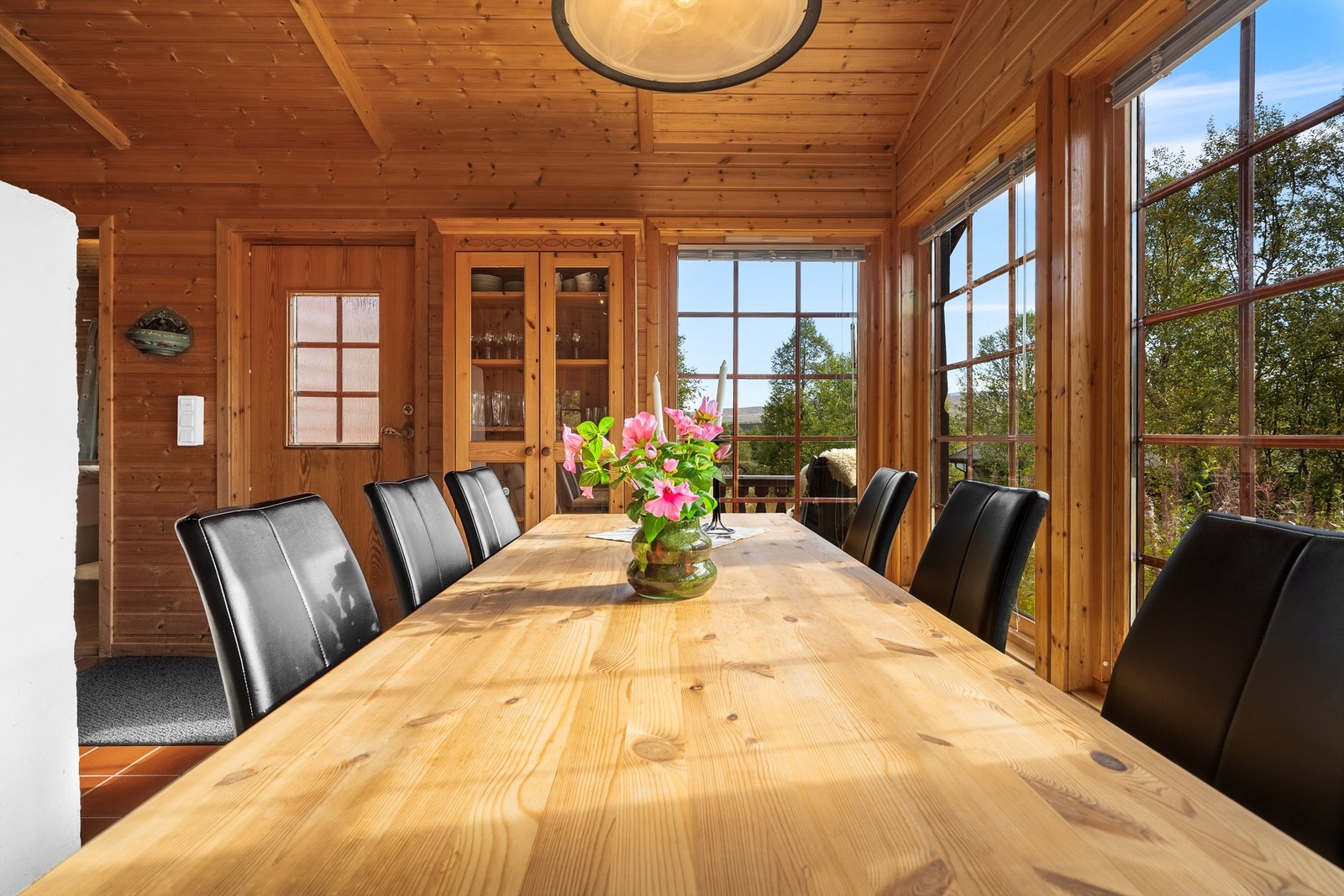 - Velkommen til Dyregrenda Nord 37 - Galleribilde