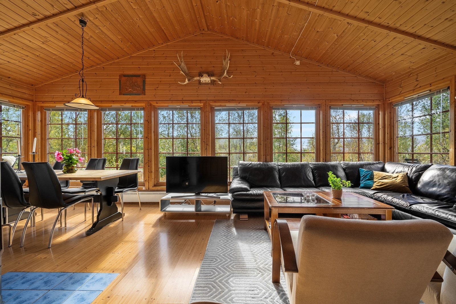 - Velkommen til Dyregrenda Nord 37 - Galleribilde