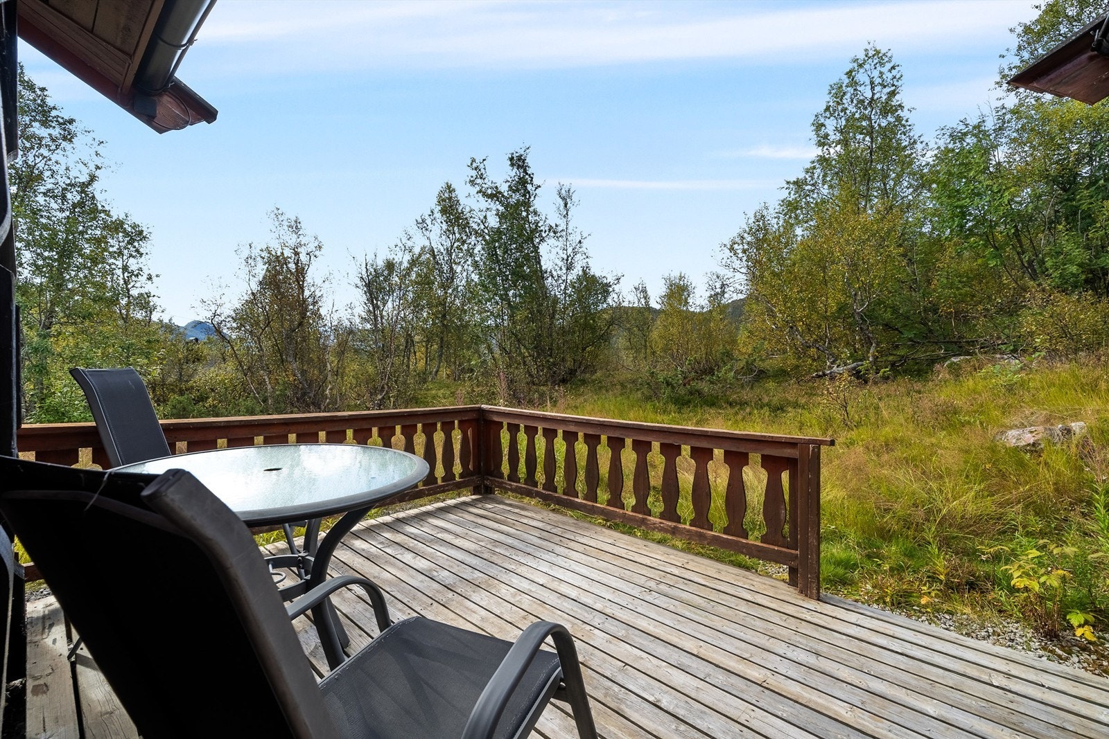 - Velkommen til Dyregrenda Nord 37 - Galleribilde