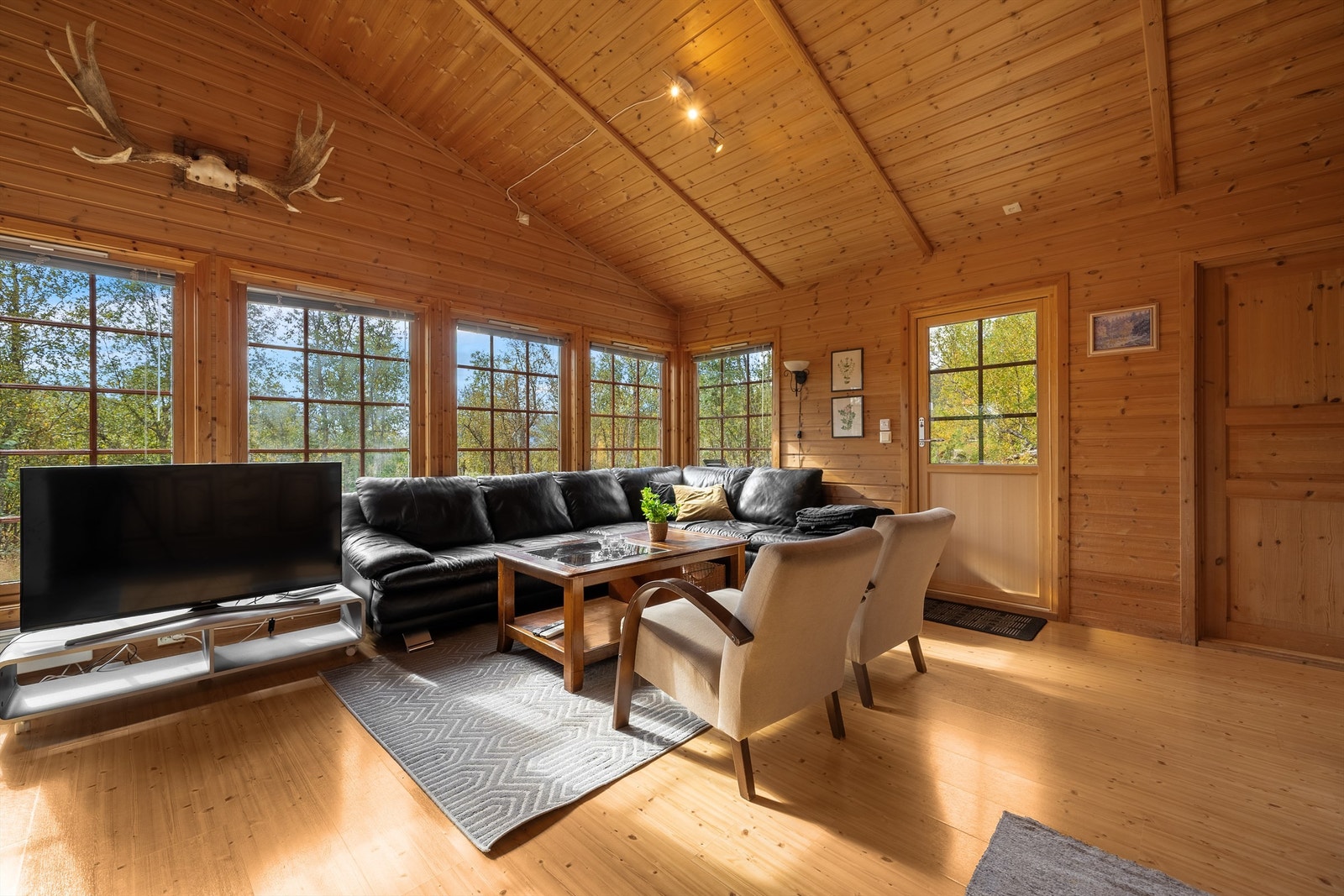 - Velkommen til Dyregrenda Nord 37 - Galleribilde