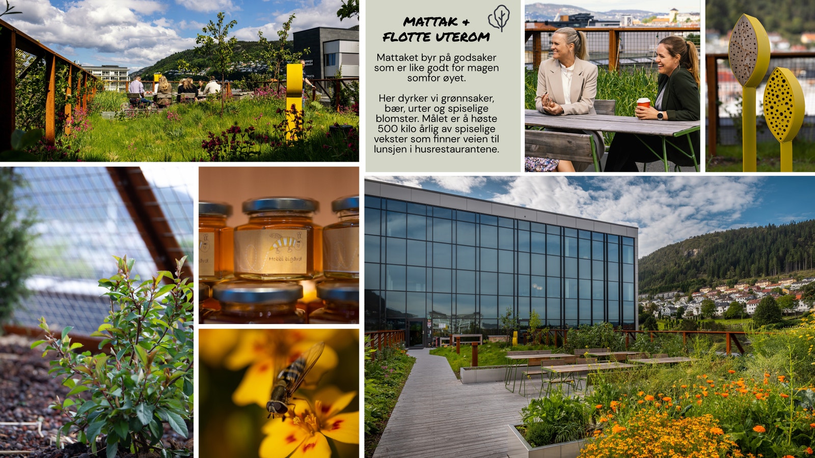 Flotte uteareal der du kan møte flere av dine naboer. Galleribilde