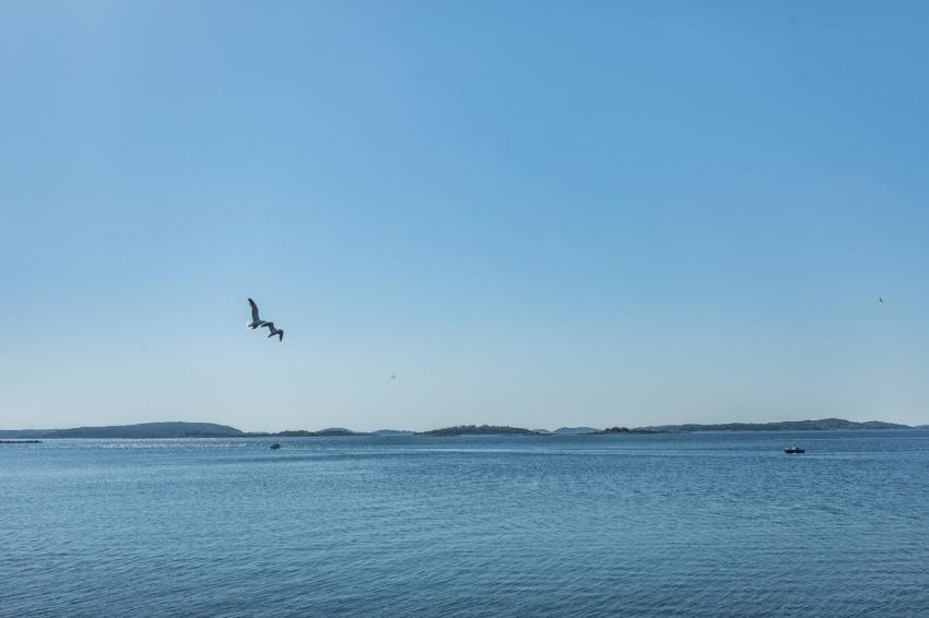 Enten du liker deg best på land eller på sjøen i båt, ligger området perfekt til med tanke på tilgjengelighet. Galleribilde