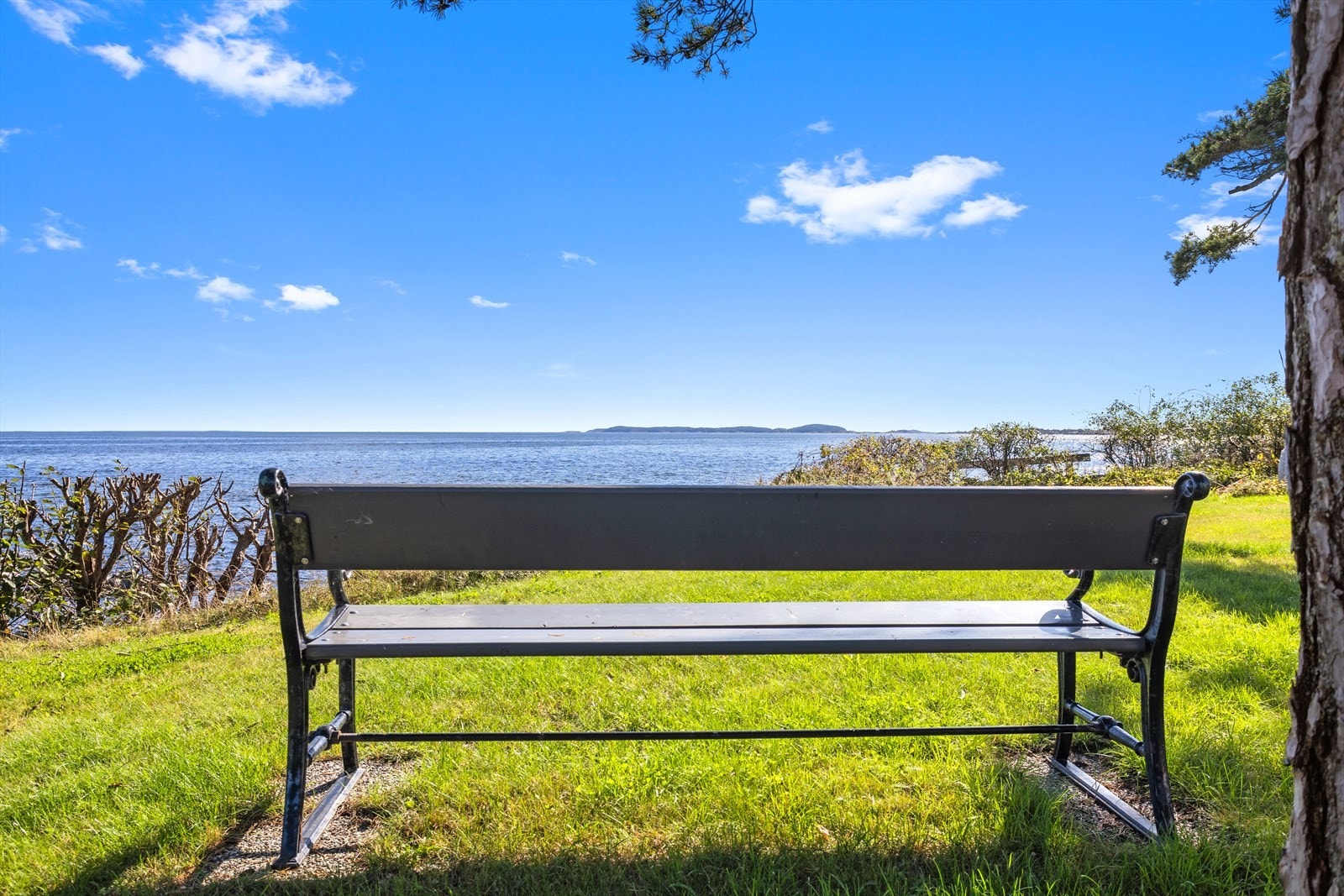 I hagen finner man sjelefred! Galleribilde