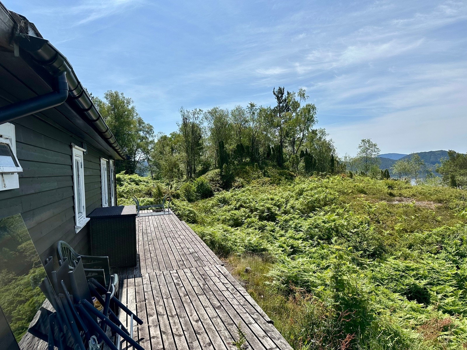 IMG_1104 Galleribilde