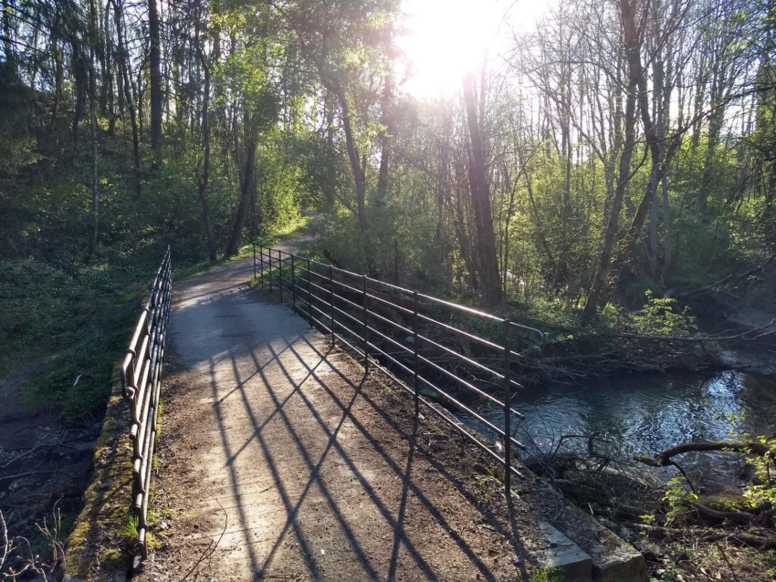 Det er tur og sykkelstier rett ved mot sentrum. Her kan du gå langs Alna elva ned mot byen. Galleribilde