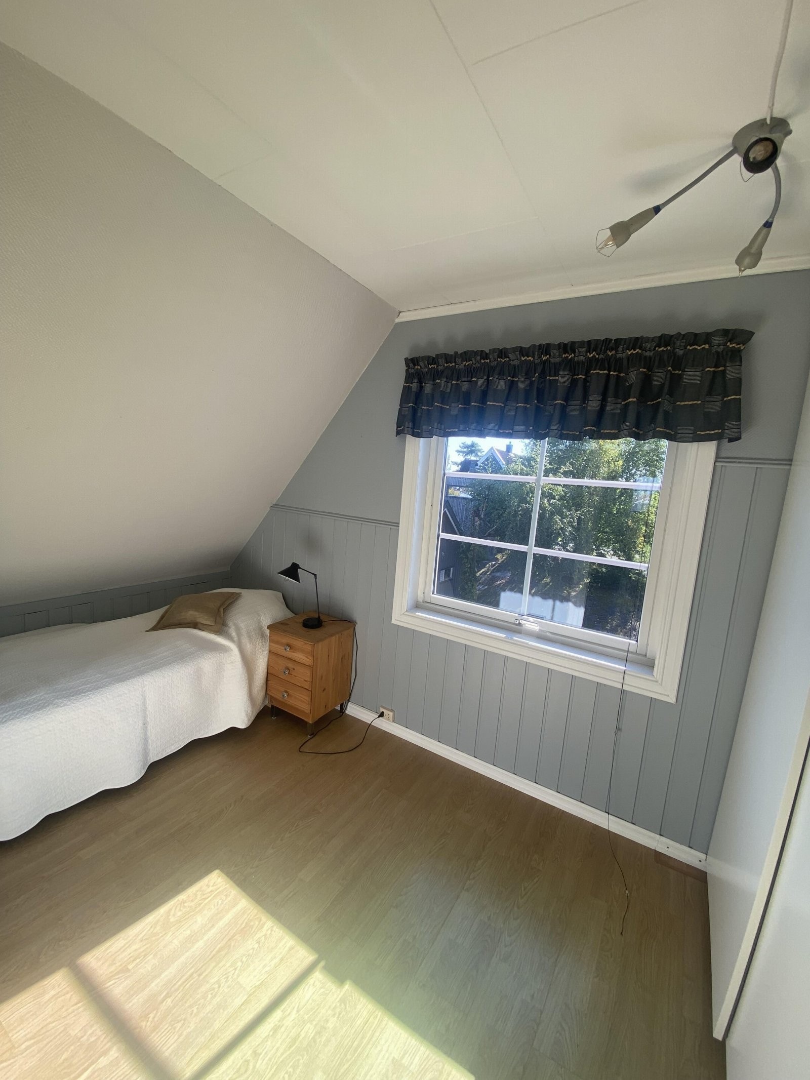 IMG_2577 Galleribilde