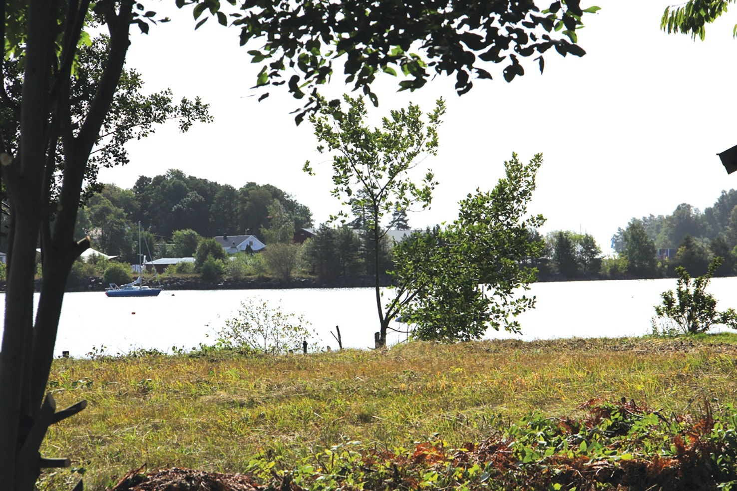 Utsikt utover Føynlandsundet Galleribilde