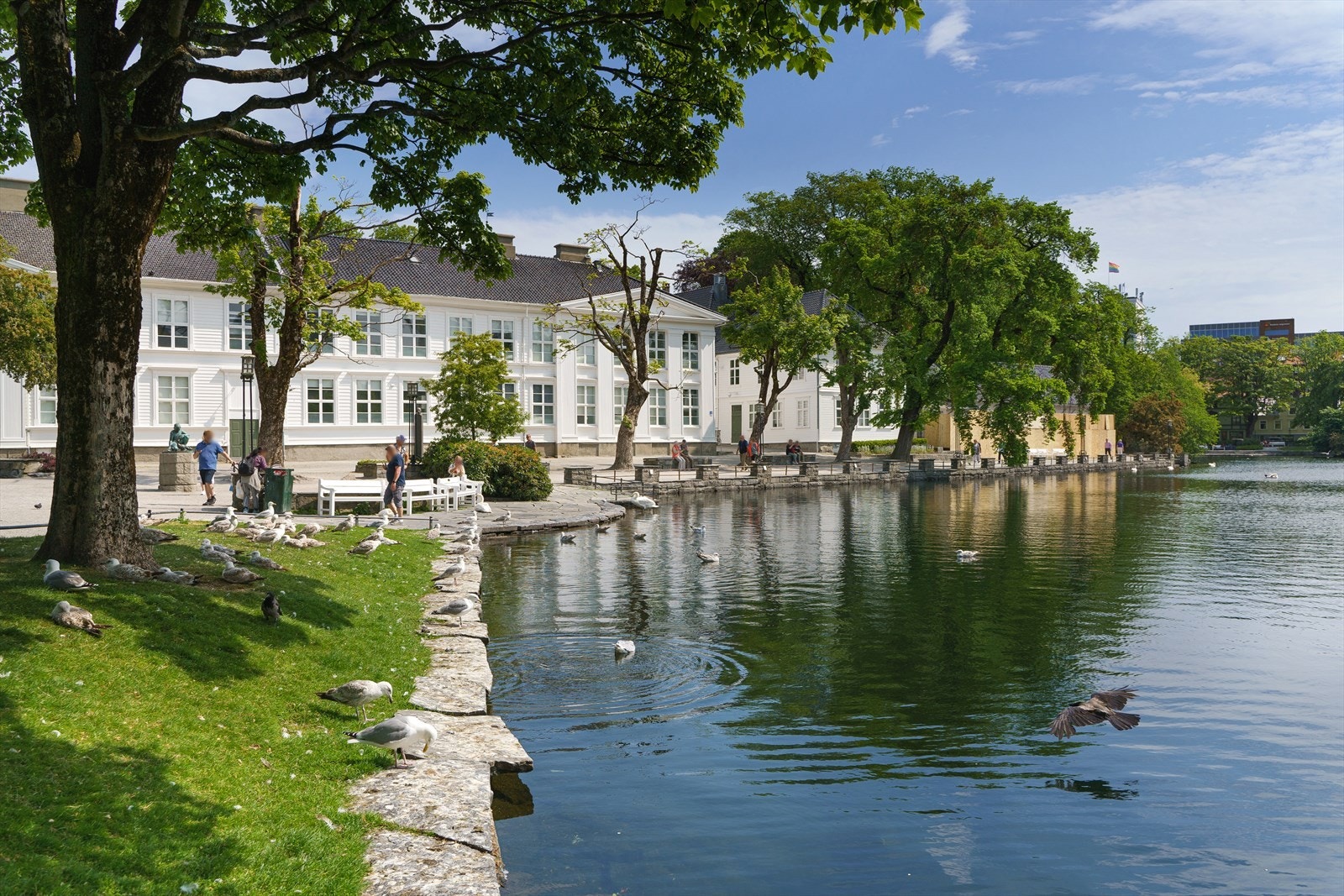 Nærmiljø. Galleribilde