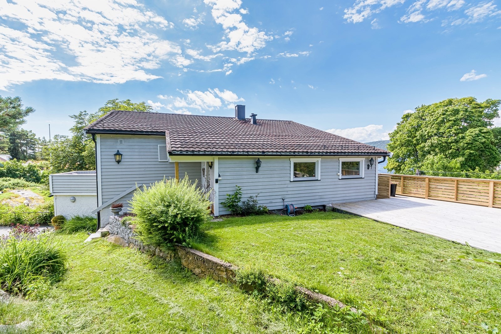 Grønt og vakkert Galleribilde