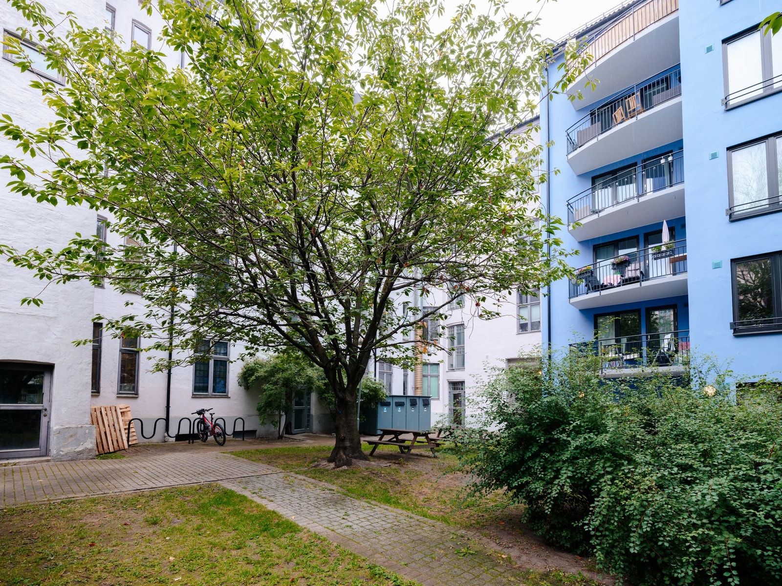 Bakgården er pent opparbeidet med grøntarealer, sittegrupper og sykkelparkering. Galleribilde