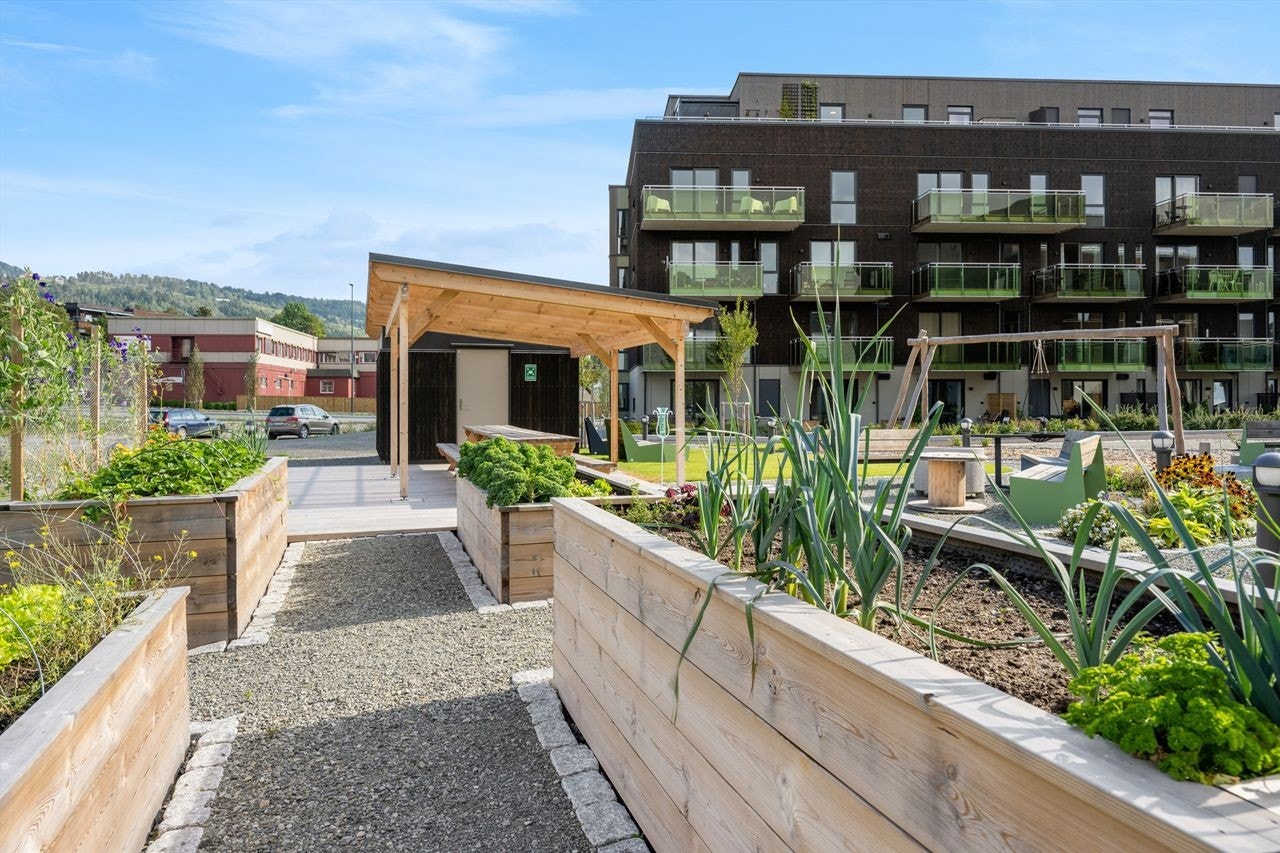 Felles plantekasser og mange benker gir hyggelig fellesskap i hagen Galleribilde