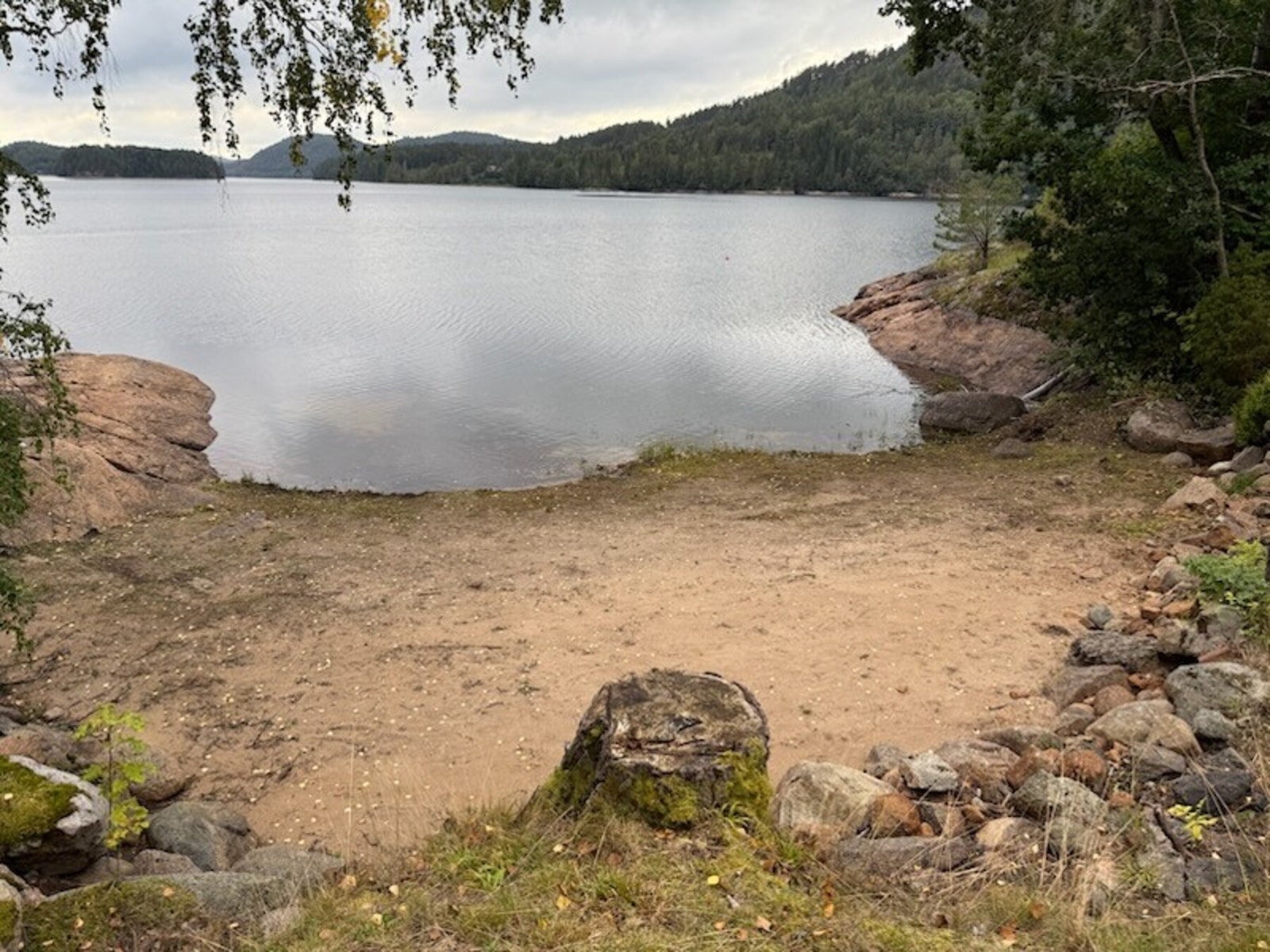 Selgers bilder. Galleribilde