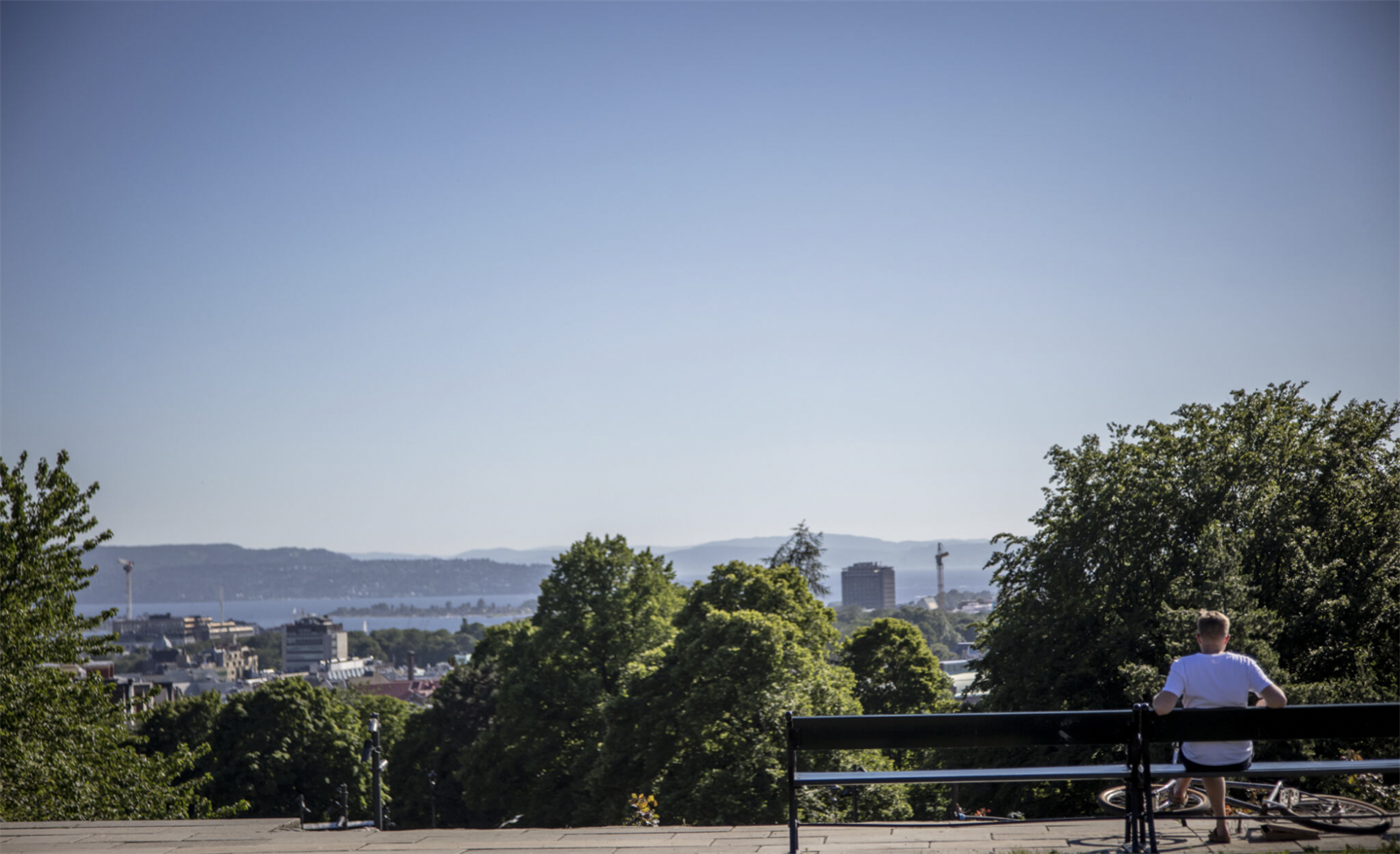 Områdebilde. Galleribilde