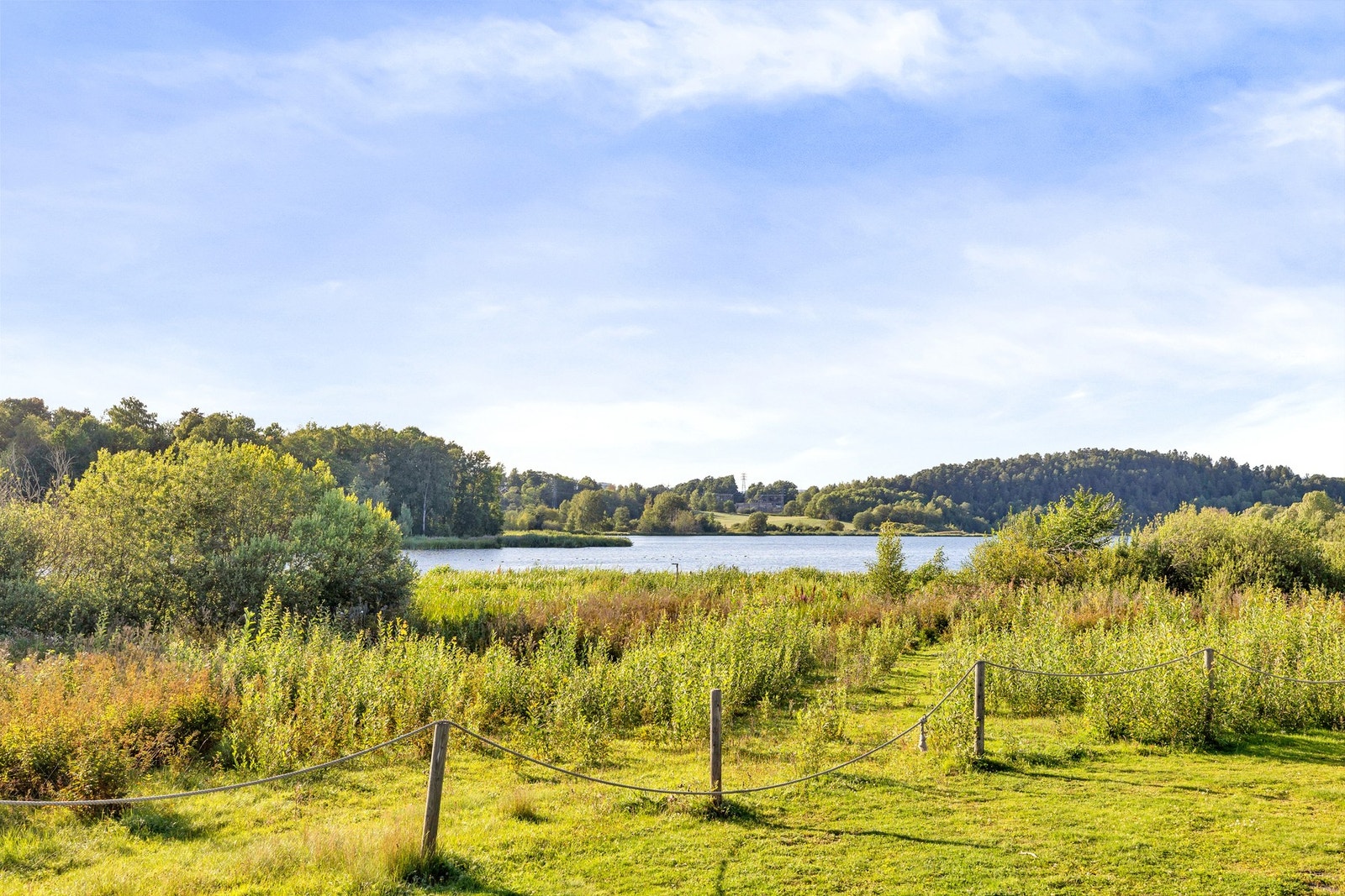 Nærområdet. Galleribilde