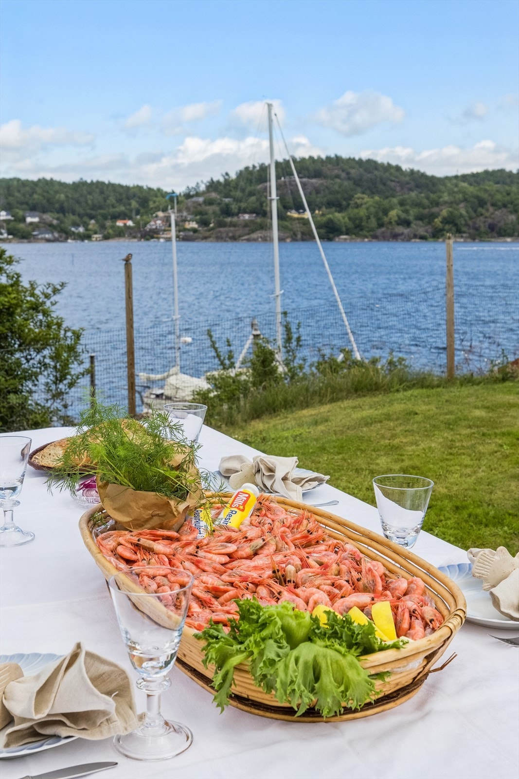 Flott utsikt - på Sandøya er det boplikt Galleribilde