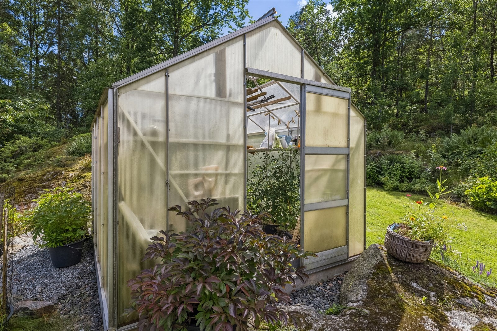 Drivhuset følger med Galleribilde