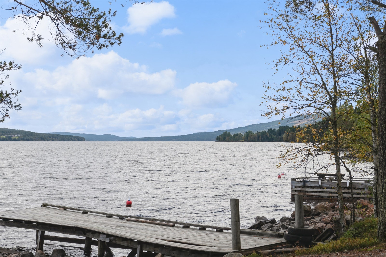 Nærområdet Galleribilde