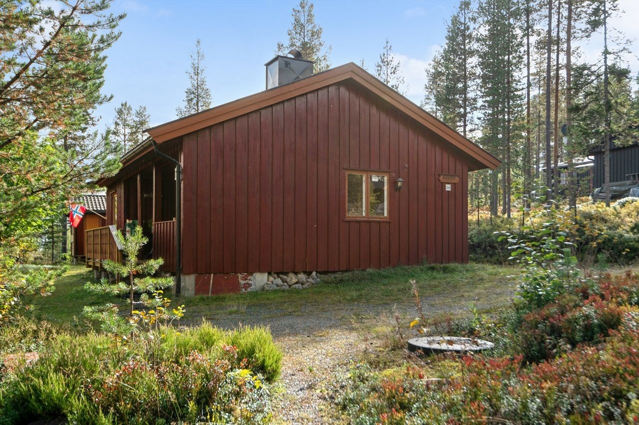 Hytta er fundamentert på pilarer, og har en praktisk krypkjeller under bygget. Galleribilde