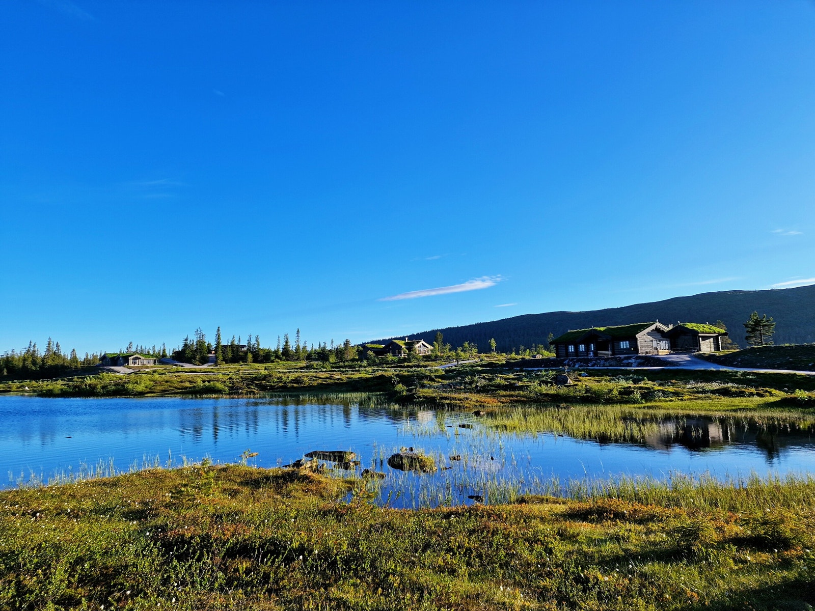 Her er fokus på den genuine naturopplevelsen Galleribilde
