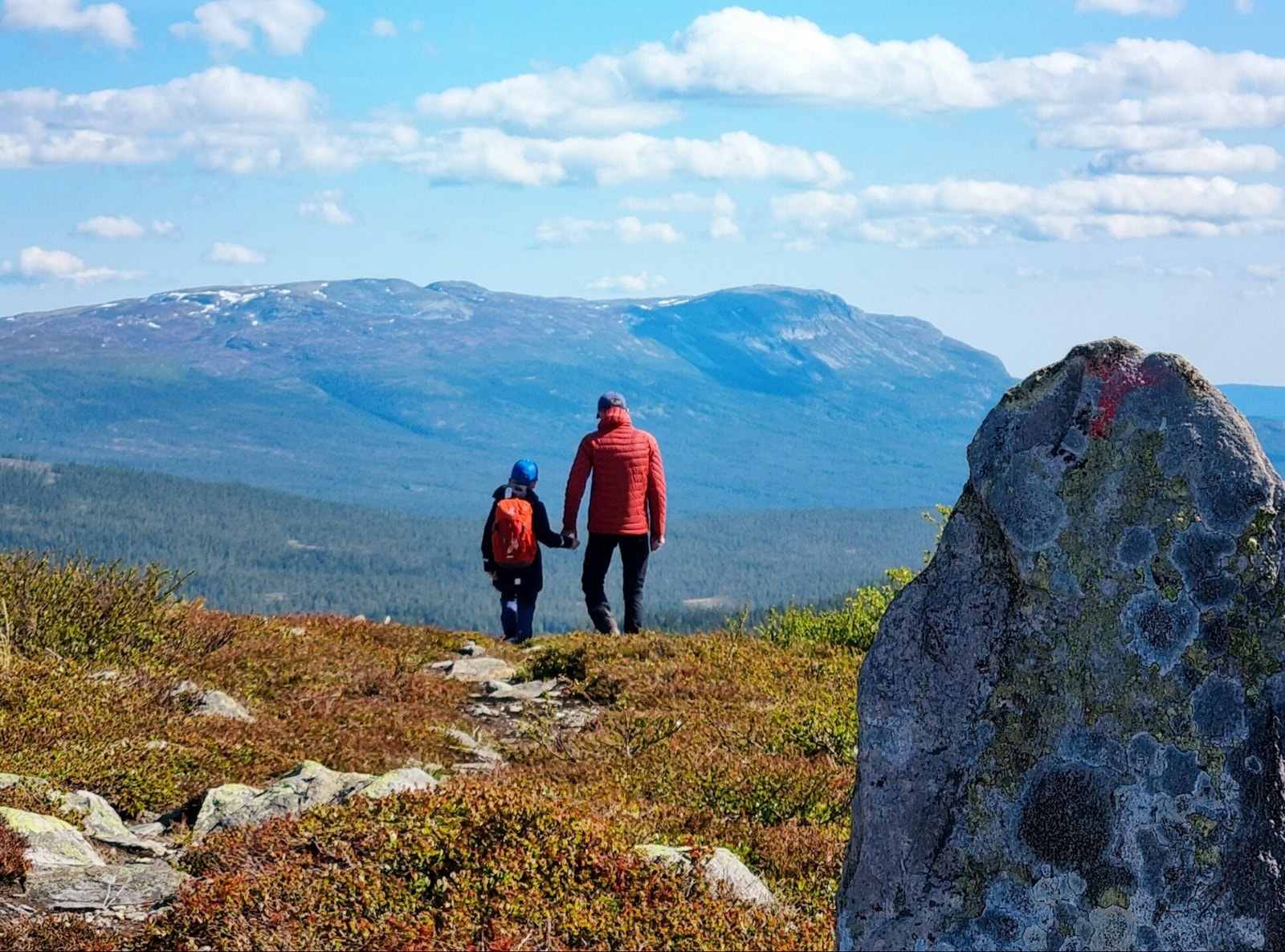 Det er flere flotte og familievennlige toppturer innenfor en times vandring fra tomtefeltet Galleribilde