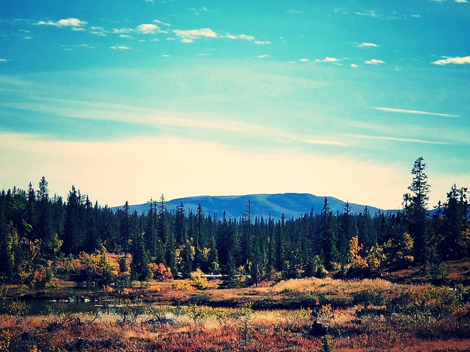 Sørover er det utsikt mot Blefjell Galleribilde