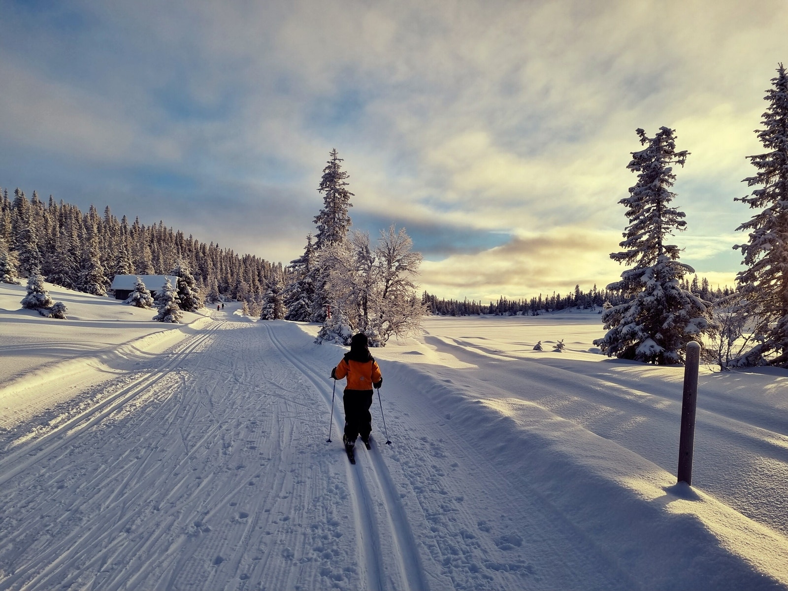 Skisporet går rett forbi tomteområdet og med løypekryss i hver sin ende av feltet får du varierte muligheter for langrenn Galleribilde