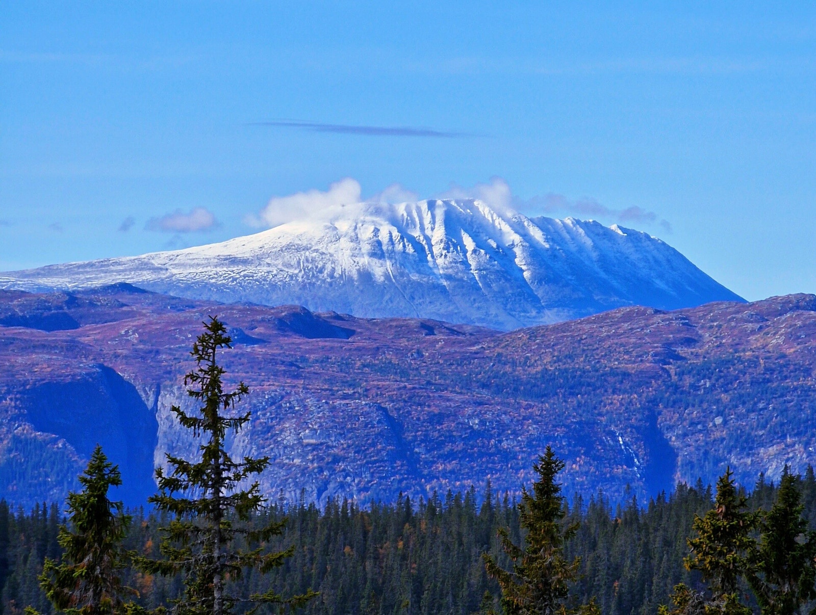 Nydelig utsikt mot Gaustatoppen åpenbarer seg bare 15 min gange fra tomtefeltet Galleribilde
