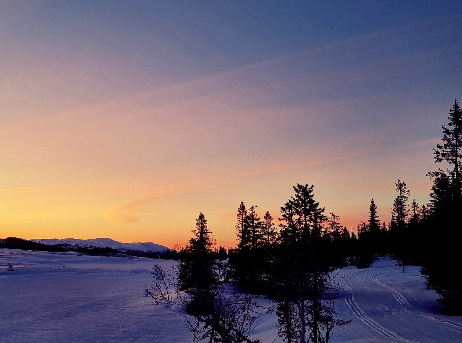 Kveldsstemning fra skiløypa ved Søre Vorsetvatn Galleribilde