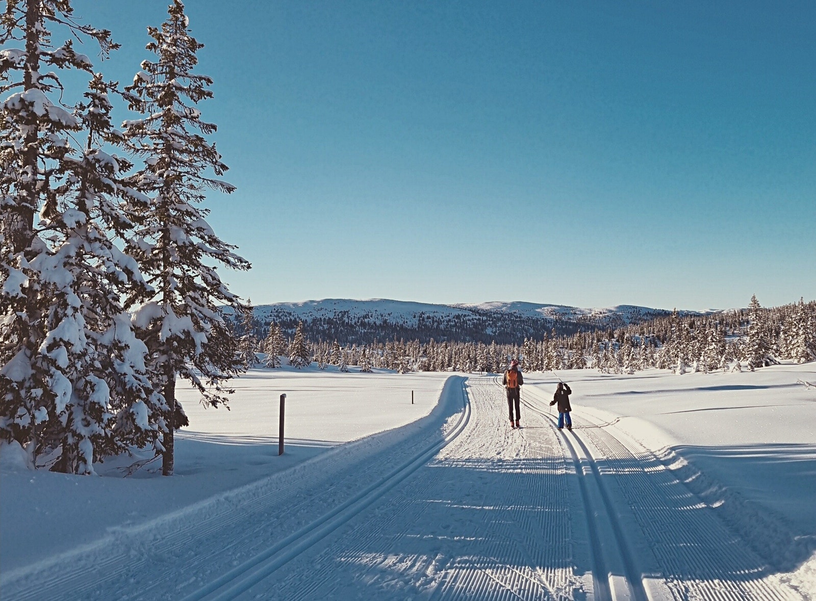 Vegglifjell har milevis med flotte skiløyper Galleribilde