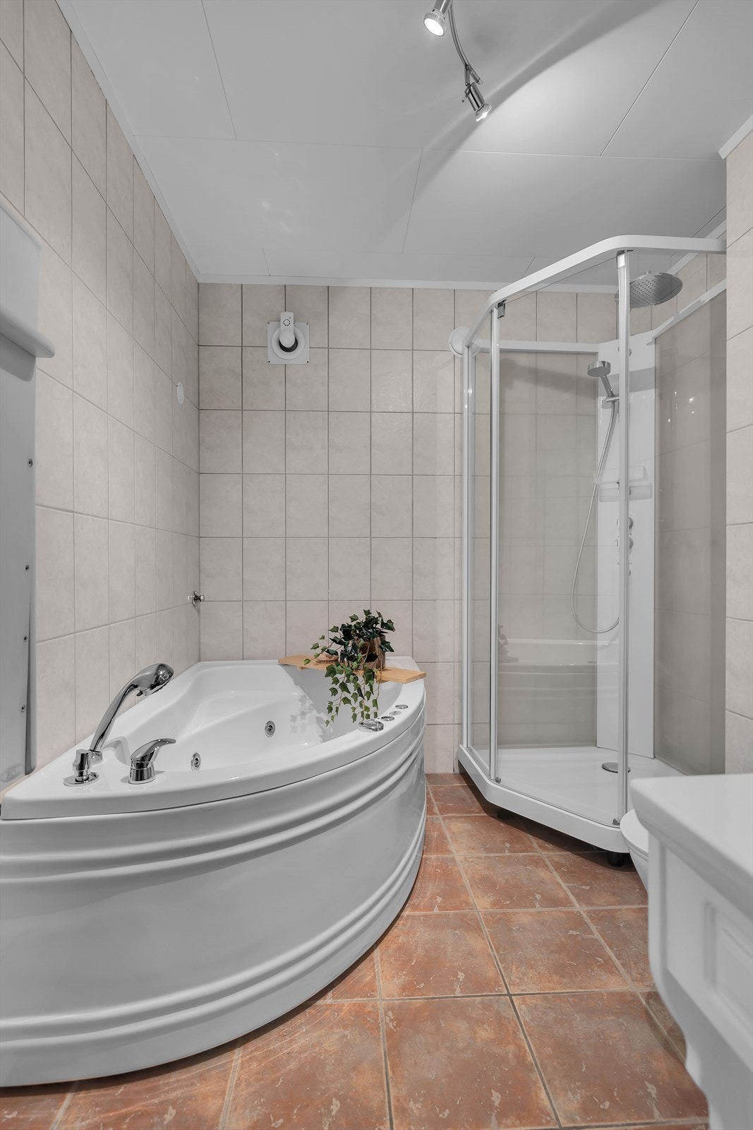 Både badekar (som lett kan tas bort) og nytt dusjkabinett Galleribilde