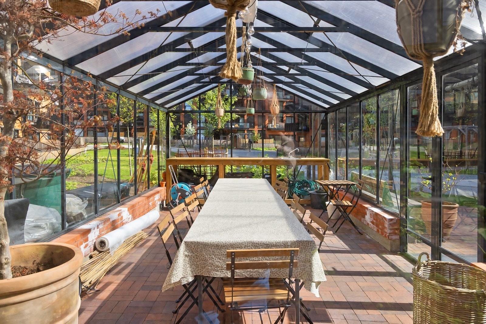 Drivhusene kan leies gratis til festligheter Galleribilde