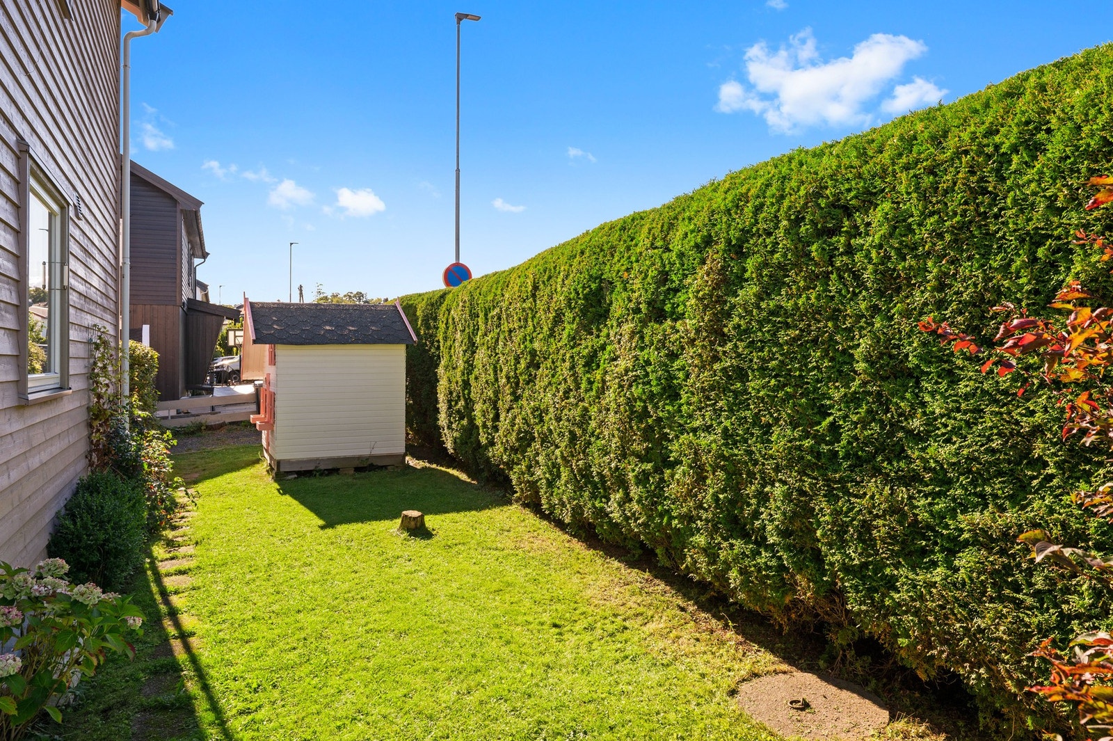 Tomten er opparbeidet med plen, hekk og diverse beplantning. Galleribilde