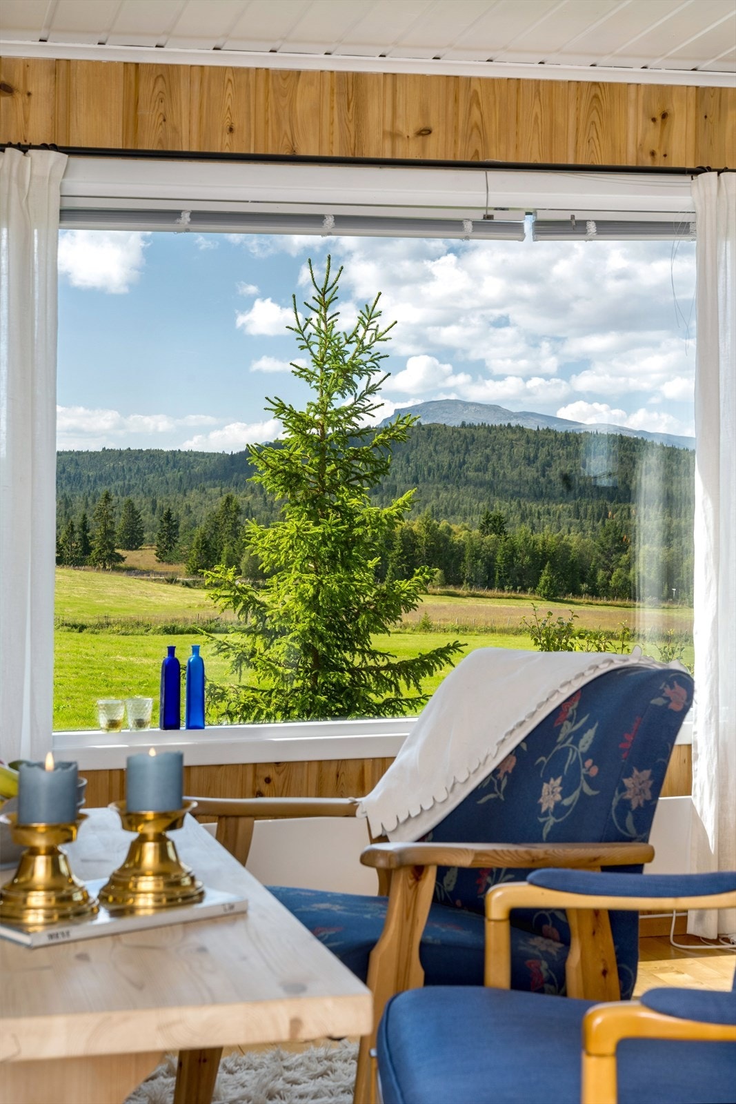 Fantastisk utsikt mot Hemsedalsfjellene. Galleribilde