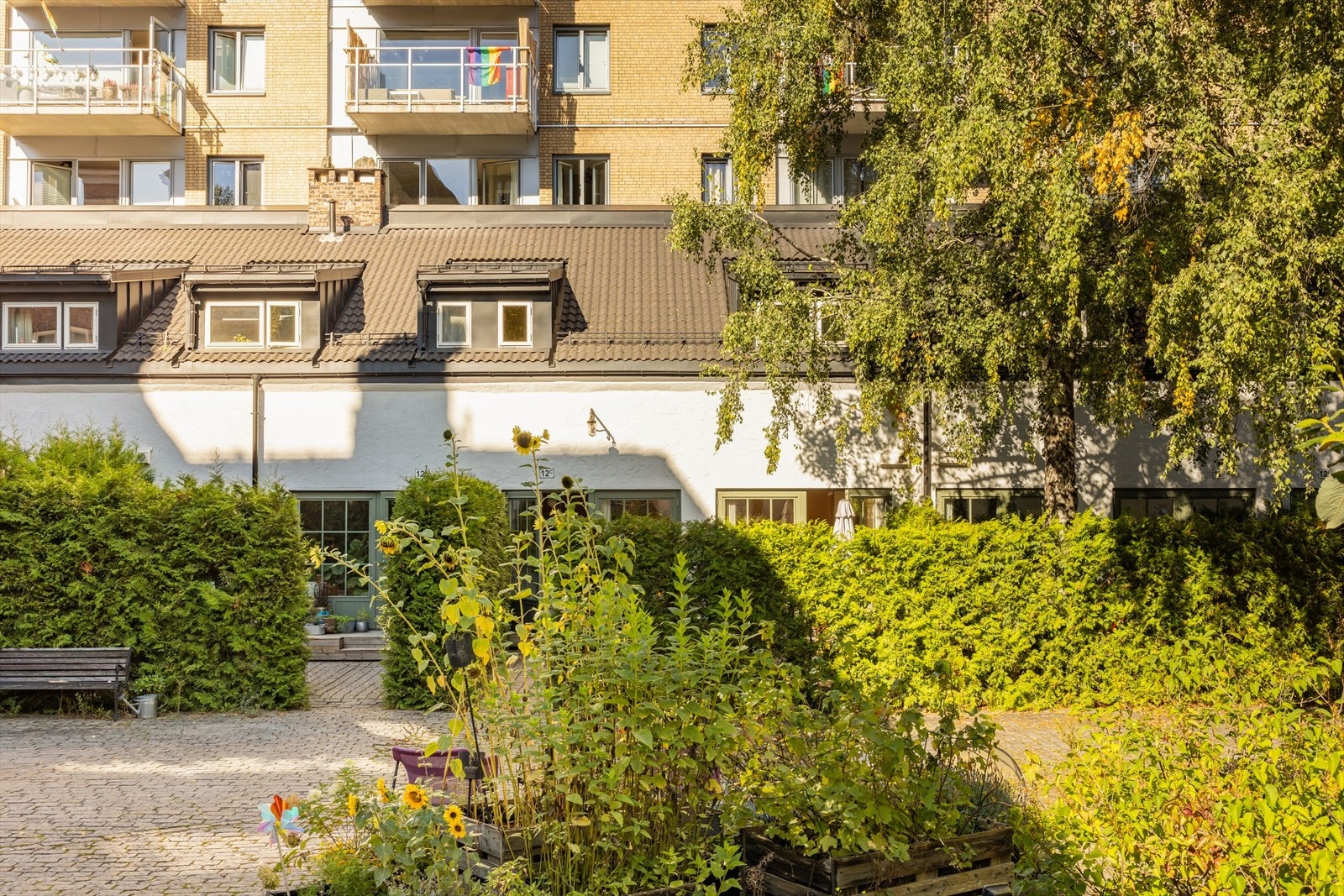 Velkommen til hyggelig visning! Galleribilde