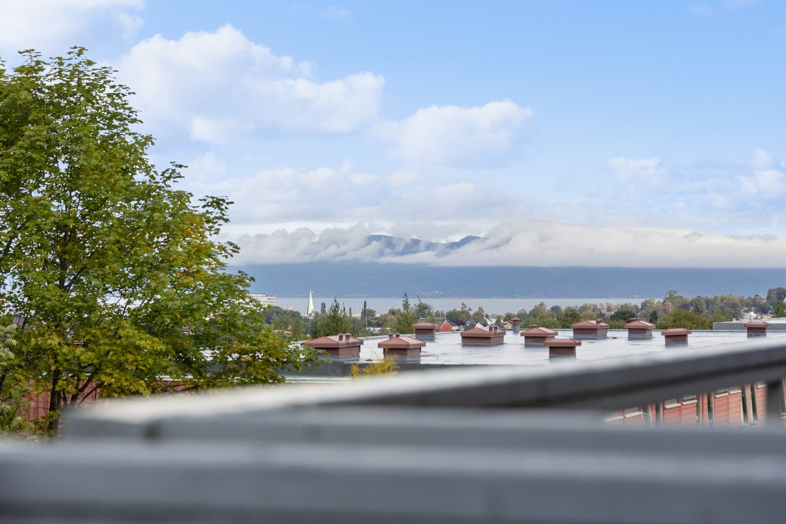 Man kan glimte til Trondheimsfjorden fra inngangspartiet. Galleribilde
