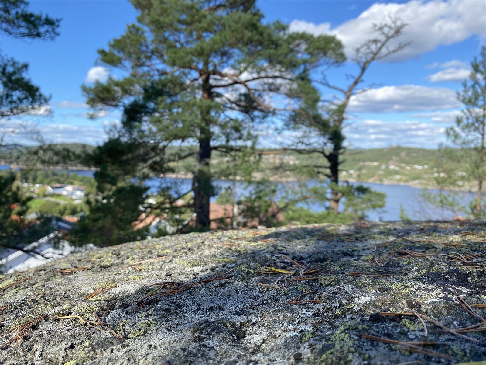 Bilder fra tomtene Galleribilde