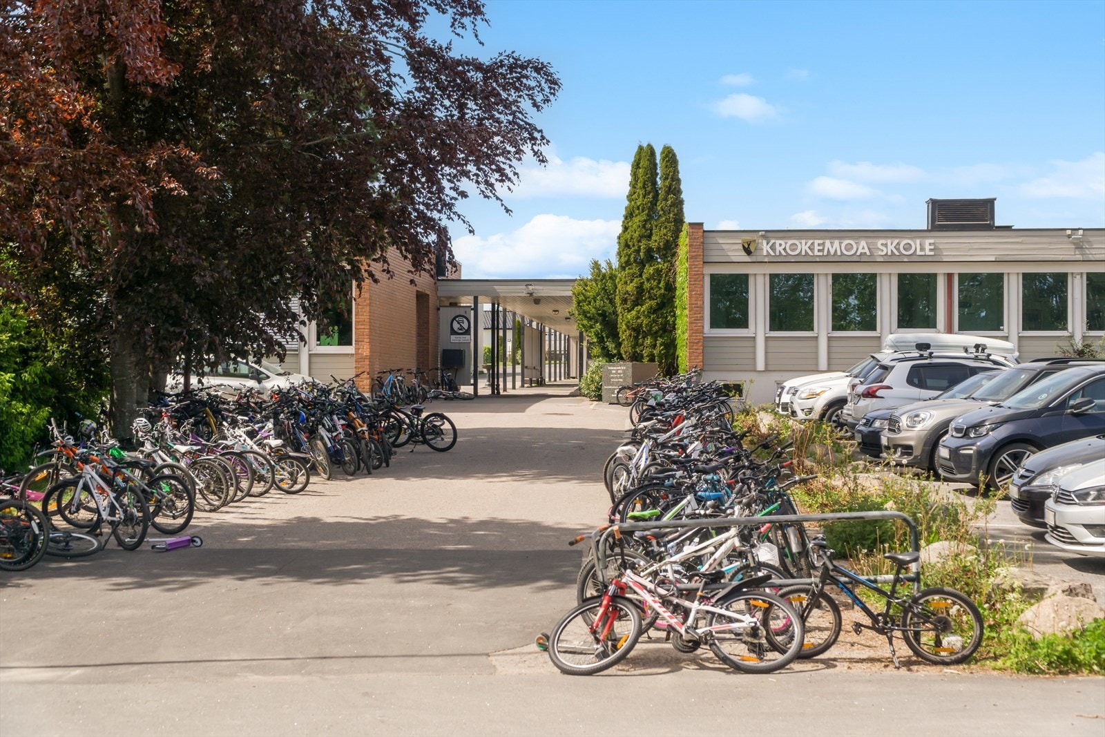 Kort vei til Krokemoa barneskole. Galleribilde