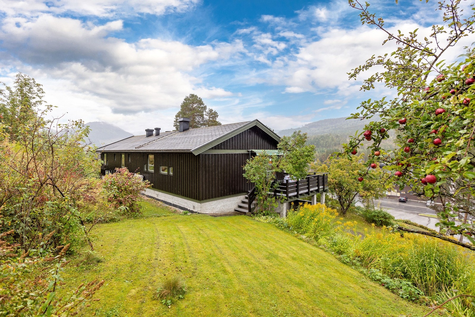 Grønn hage med busker og trær. Galleribilde