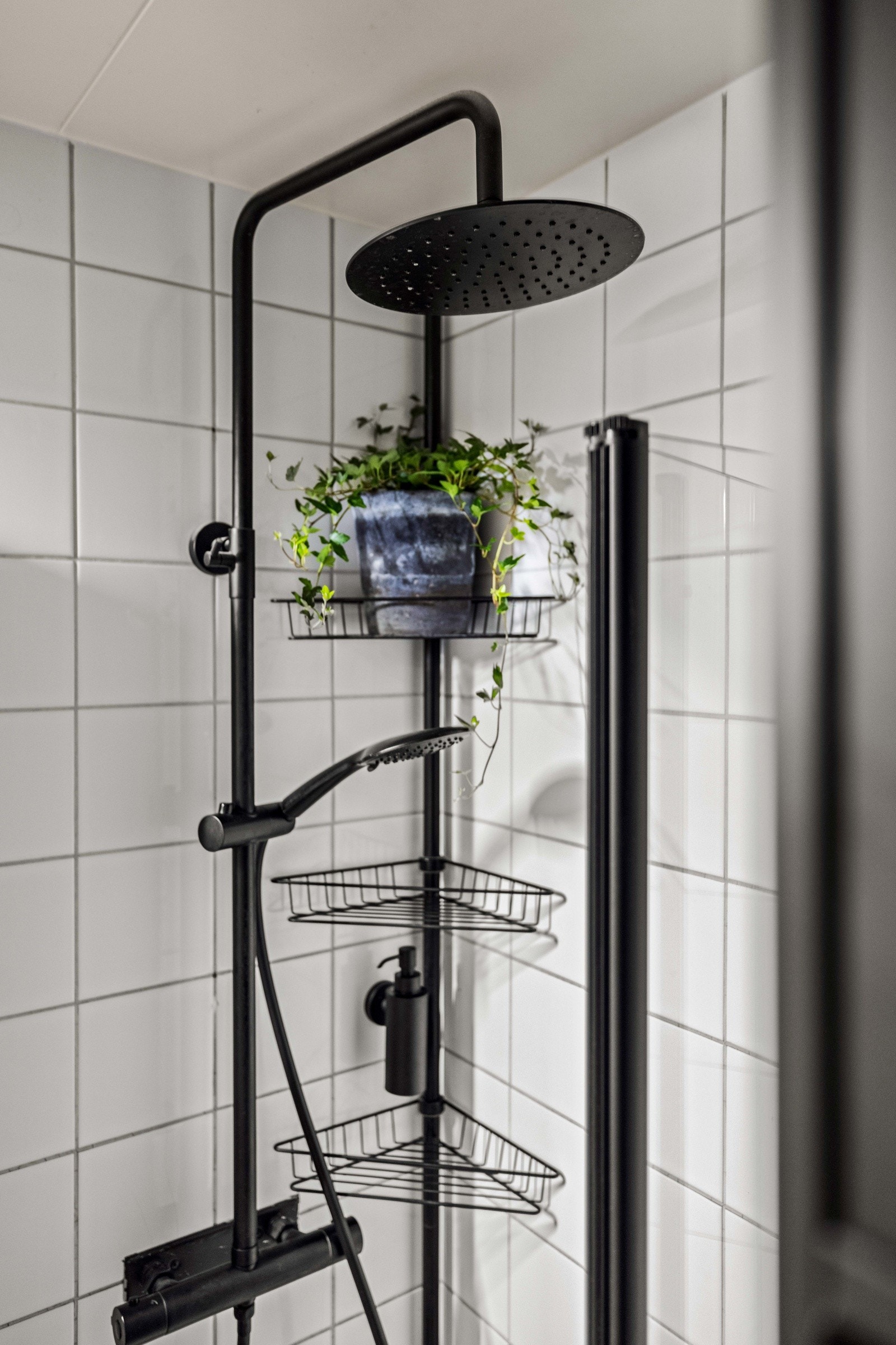 Deilig regnfallsdusj. Galleribilde