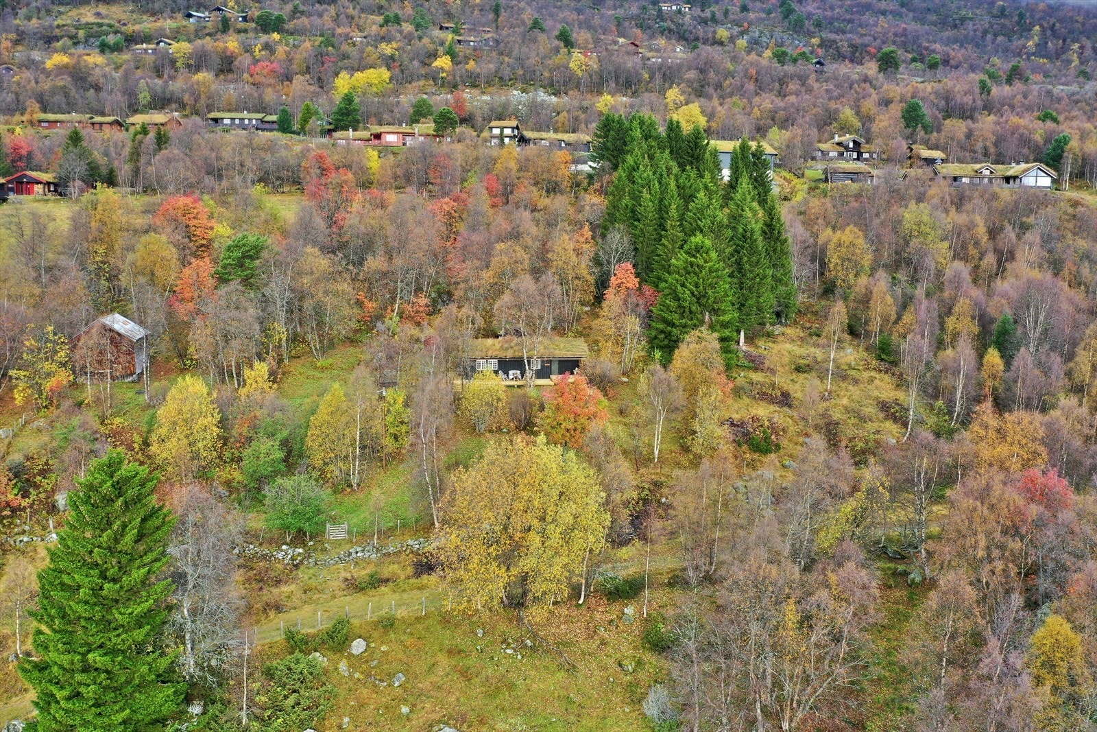 Eiendommens tomt er ca. 3,9 mål Galleribilde