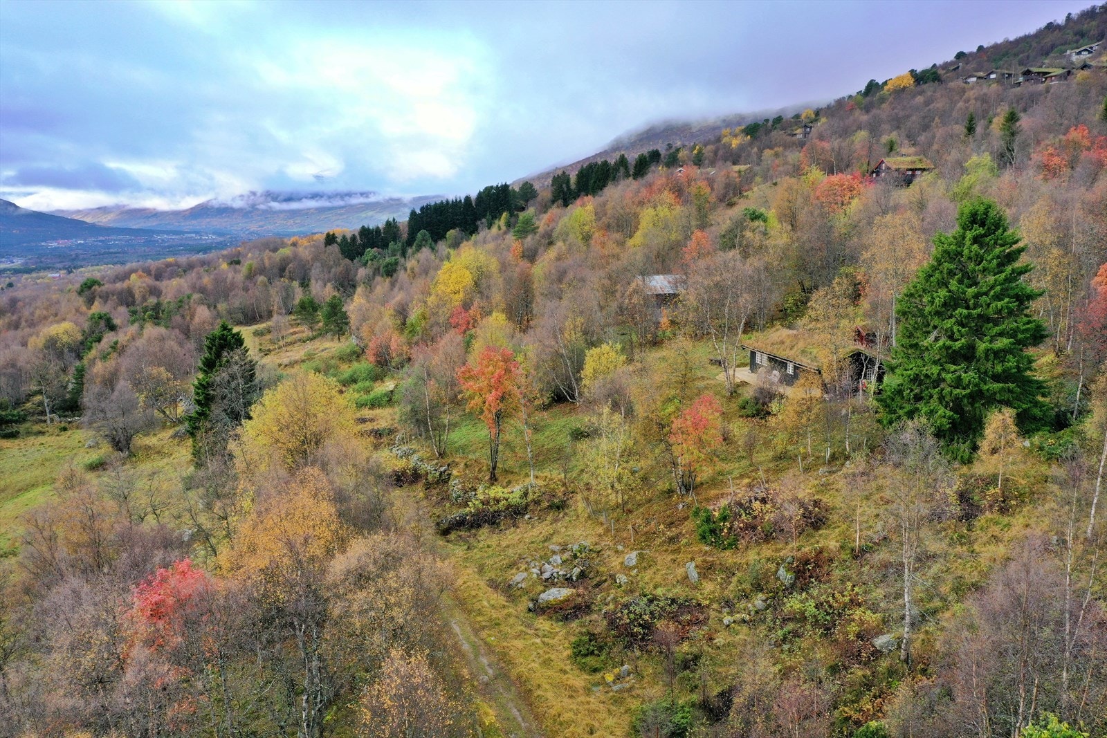 Beliggende like ovenfor Pilegrimsleden Galleribilde