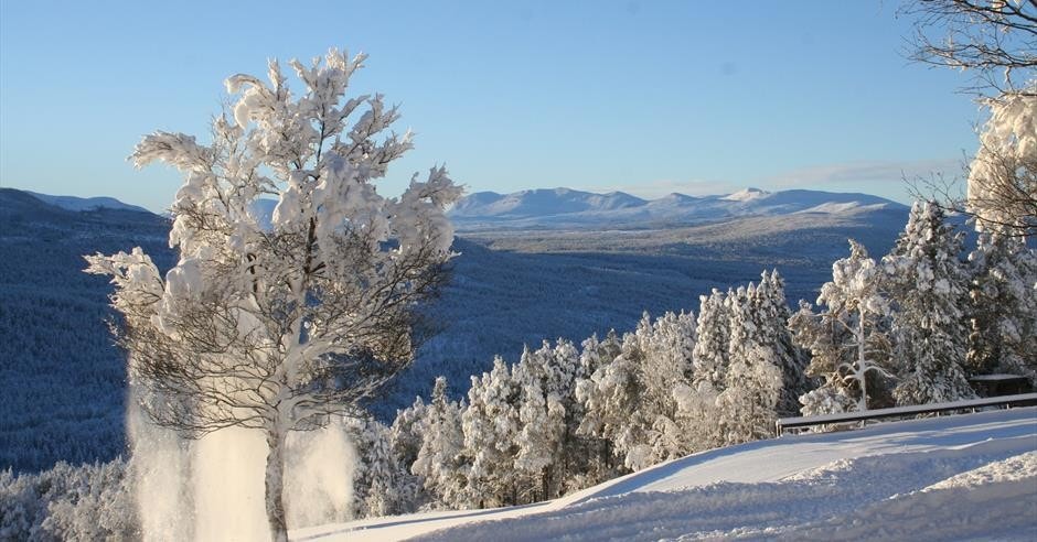 Espedalens vakre natur Galleribilde