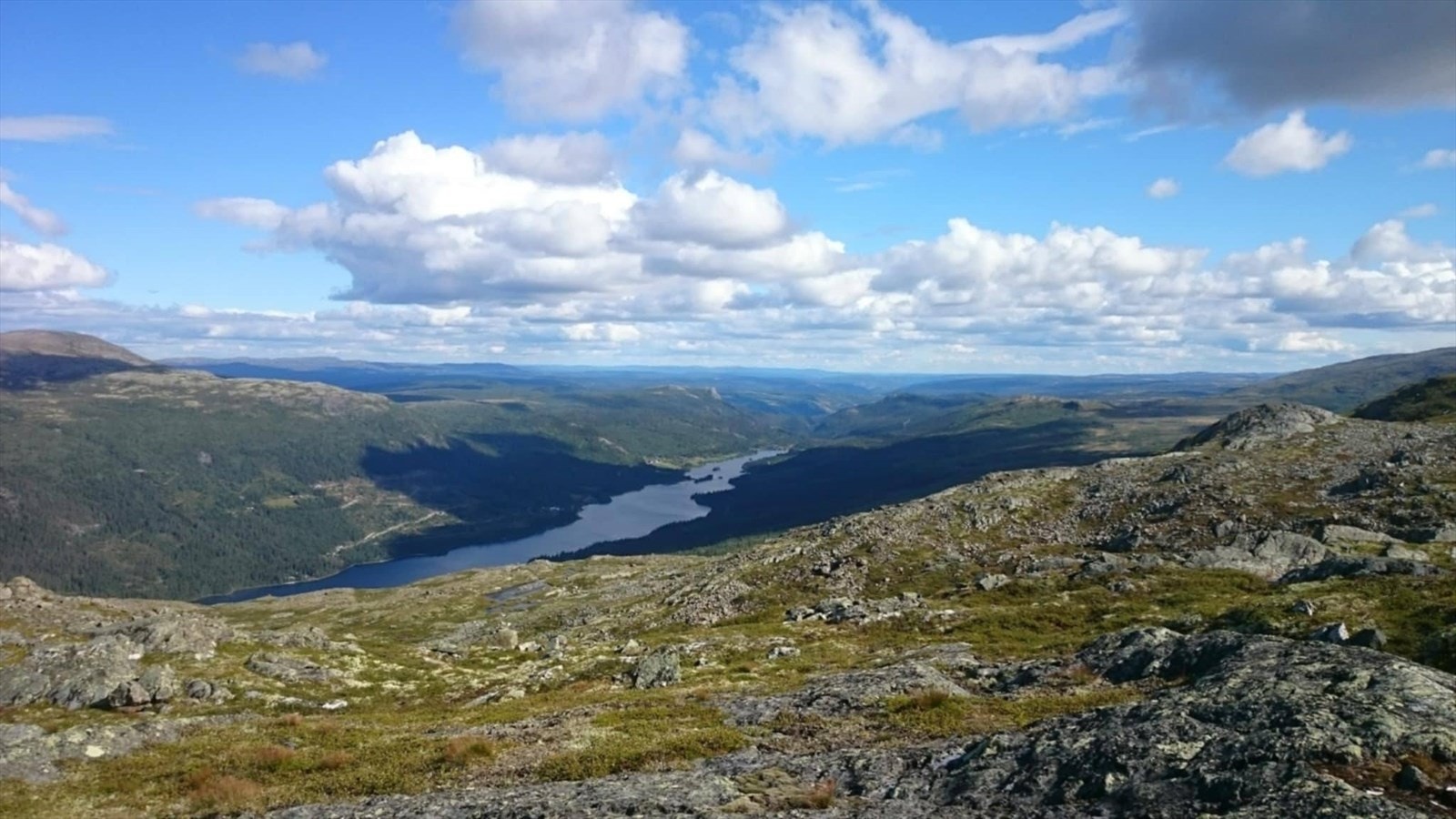 Områdebilder Espedalen Galleribilde