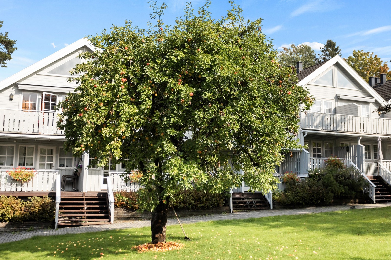 Området har gode solforhold, og det er fine, barnevennlige uteplasser og grøntarealer rett utenfor døren. Galleribilde